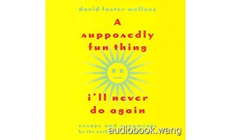 A Supposedly Fun Thing I’ll Never Do Again: Essays and Arguments Unabridged (mp3+mobi) 18hrs